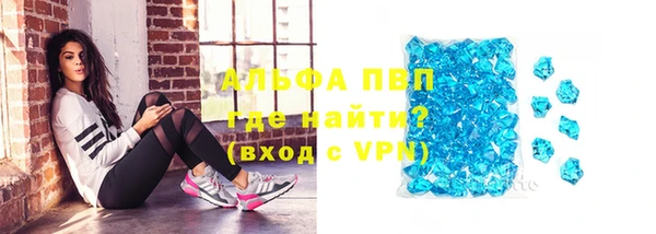 СК Алексин