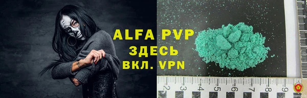СК Алексин