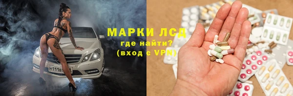 прущий лед Алзамай