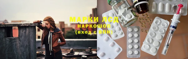 прущий лед Алзамай