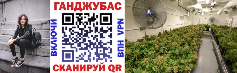 Марихуана план  omg ССЫЛКА  сайты даркнета клад  Ликино-Дулёво 